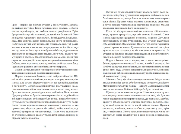 Книга "ЦУЦИК" Віталій Запека - фото №3