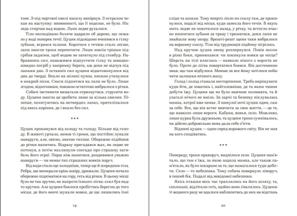 Книга "ЦУЦИК" Віталій Запека - фото №5