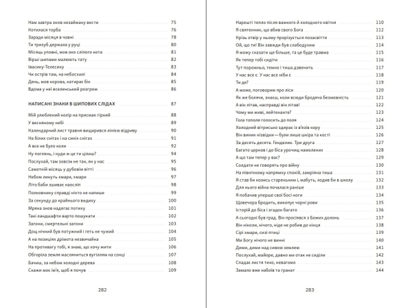 Між небом і війною | Anatoliy Anatoliy - фото №10