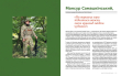 Білий Шлях Батальйону імені Шейха Мансура в Україні. 10 років боротьби - фото №9