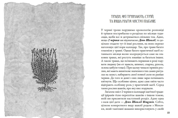 Книга «Магічний путівник. Літо» Анна Амарго, Олесь Барліг - фото №11