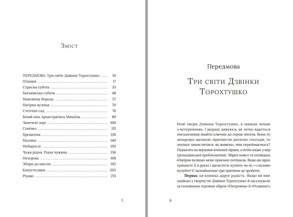 Книга "Нагірна вулиця" Дзвінка Торохтушко - фото №4