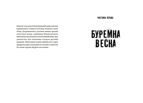Книга «Нащадок теслі. Роман про Троїцьке повстання» Сергій Степовик - фото №6
