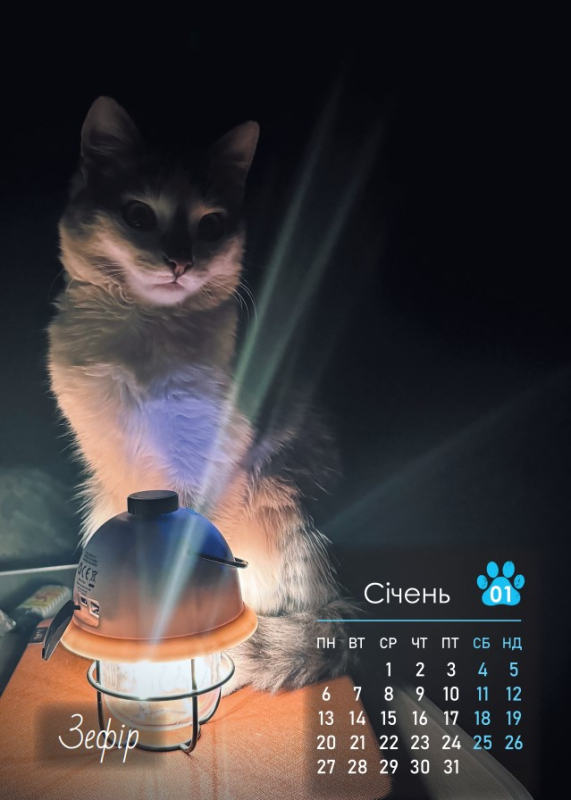 Календар "Бойові коти Петрова" - фото №3