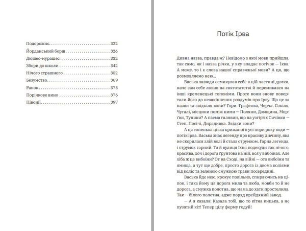 Книга "Порічкове вино" Дзвінка Торохтушко - фото №5