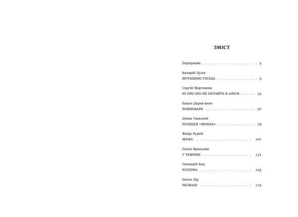 Книга "Птахи у пітьмі" міжавторська збірка мілітарного горору (передзамовлення) - фото №12