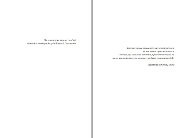 Книга "Зникнення Северина Рибалки" |Ольга Брильова, Арсеній Брильов - фото №5