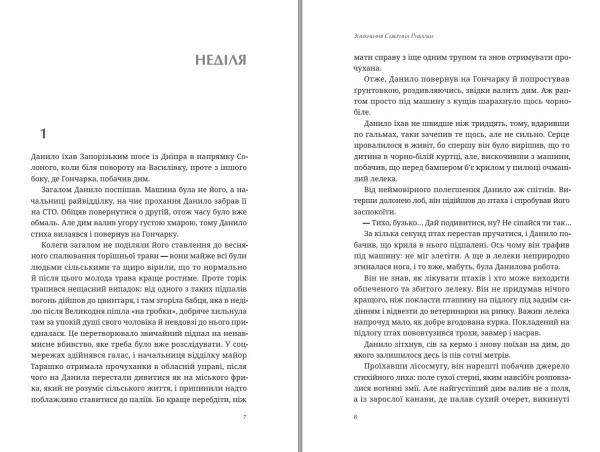 Книга "Зникнення Северина Рибалки" |Ольга Брильова, Арсеній Брильов - фото №6